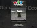 Incoming  mystic 8 studios new series great lakes eco is on the way