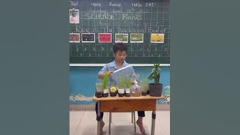 18/4/2023 - Trường Tiểu học Giồng Ông Tố, Tp Thủ Đức