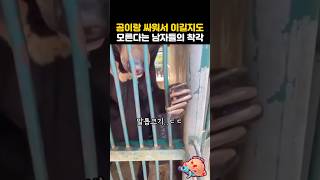 곰이랑 싸워서 이길지도 모른다는 남자들의 흔한착각