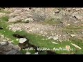 وادي الفاتح صعبان محافظة بارق مشاهدة ممتعة