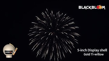 PYP0500 5 inch Display shell