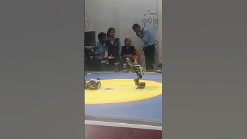 robot does push-up #robot #explore #exercise #shorts  #short #amazing