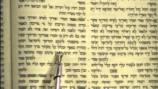 Torah Reading Simchat Torah Rabbi Weisblum קריאת התורה שמחת תורה זאת הברכה