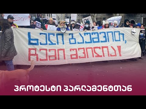 პროტესტი პარლამენტთან | \"მთავარი არხის\" საგანგებო ეთერი