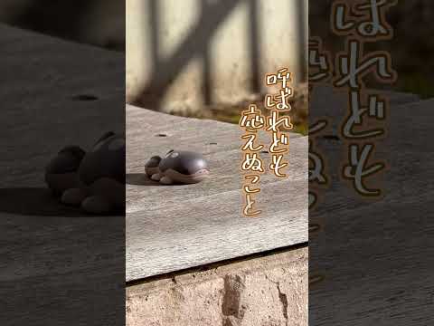 俳人ドオー　「呼ばれども」