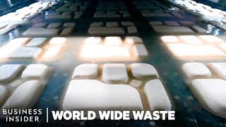 How To Replace Plastic With Avocados, Algae, Mushrooms And Sugarcane | World Wide Waste