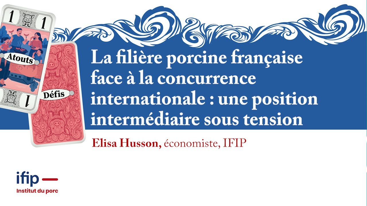 La filière porcine française face à la concurrence internationale : une position sous tension