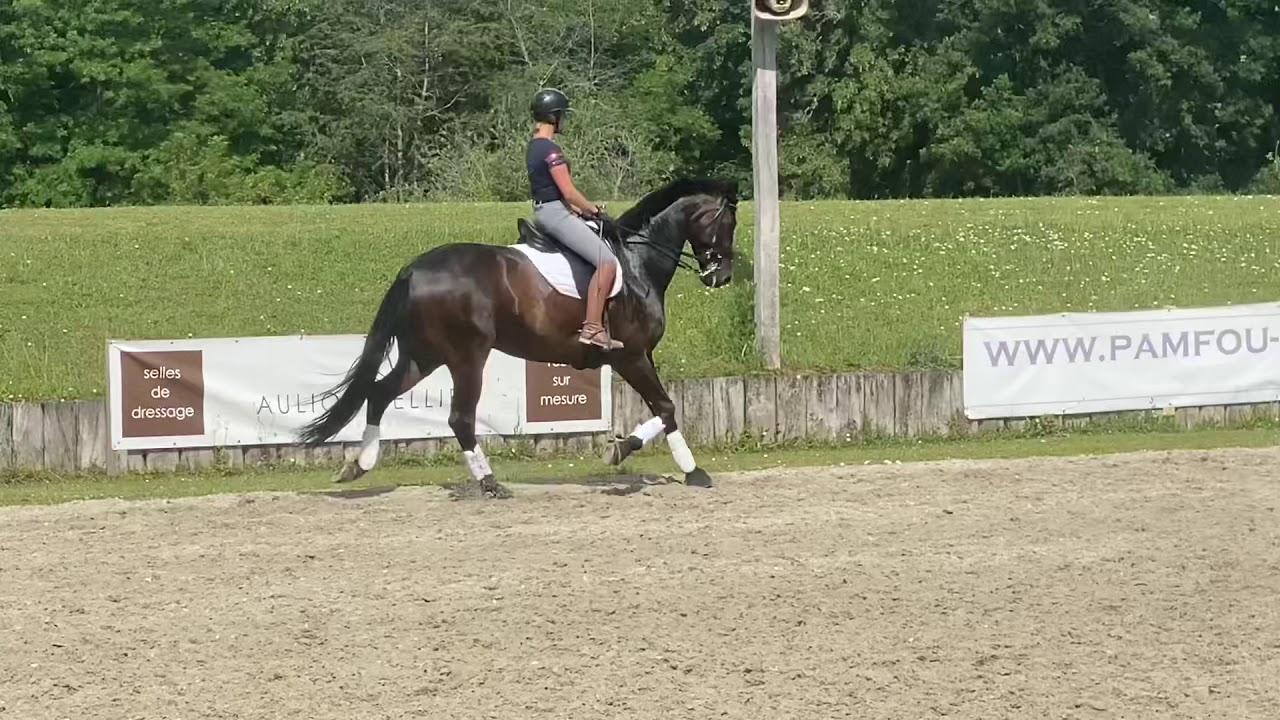 Quater Lion pour Charlotte Chalvignac Vesin