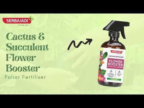Video preview: Cactus & Succulent Flower Booster