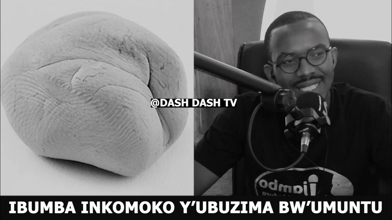 UBWIRU BUKOMEYE KU IBUMBA NK'INKOMOKO Y'UBUZIMA BW'UMUNTU YouTube
