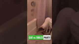 CAT vs TOILET: Cat Poop Fail #thecrazycats #shorts