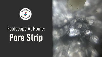 Foldscope at Home: Pore Strip