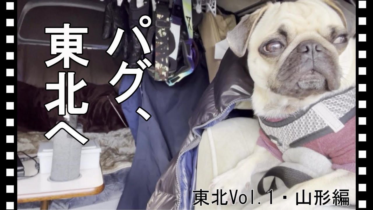 パグと旅行】20年前のキャンピングカーで行く東北スノーボードトリップ