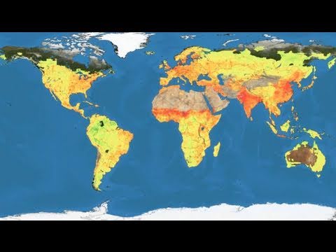 Video: Oceanul are un NPP mare?