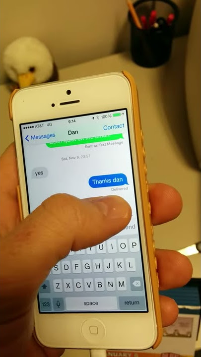 IPhone changing from imessage to text
