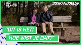 Download Lagu Bosrandgeluk | 3LAB KORTE FILM MP3