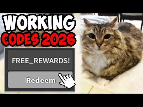 ALL WORKING KRAKEURZZ KILLER CODES ROBLOX - All New KraKeurZZ's KILLER Codes 2026!