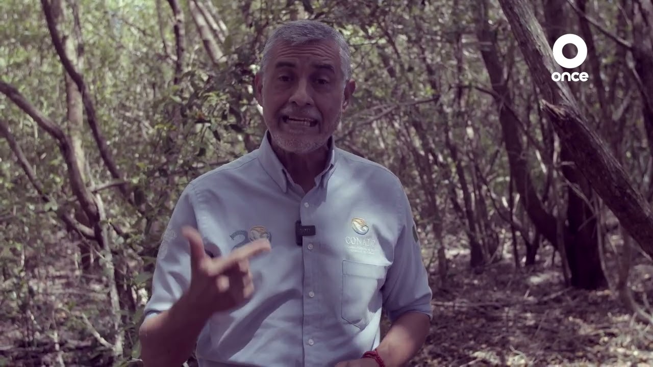 México biocultural - Reserva de la Biósfera Los Petenes (17/05/2022)