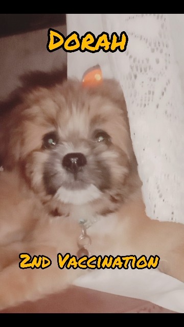 DΩRΔH'S ζΠD DΩSΣ ΩҒ ∇ΔCCIΠΔTIΩΠ. ✨🩷 # ꌚꀍꂦꋪ꓄ꌚ#ᖘꀎᖘᖘꌩ#ꏳꀎꌩꏂ#ꀷꂦꋪꍏꀍ#꒦ꍏꏳꏳꀤꈤꍏ꓄ꀤꂦꈤ#ꀷꀷꀷ꒦꒒ꂦꁅꌚ