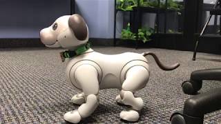 Aibo ERS1000 Goes to Work! (Part 2)