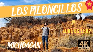 Los PILONCILLOS MICHOACAN &quot;Las Carcavas&quot;