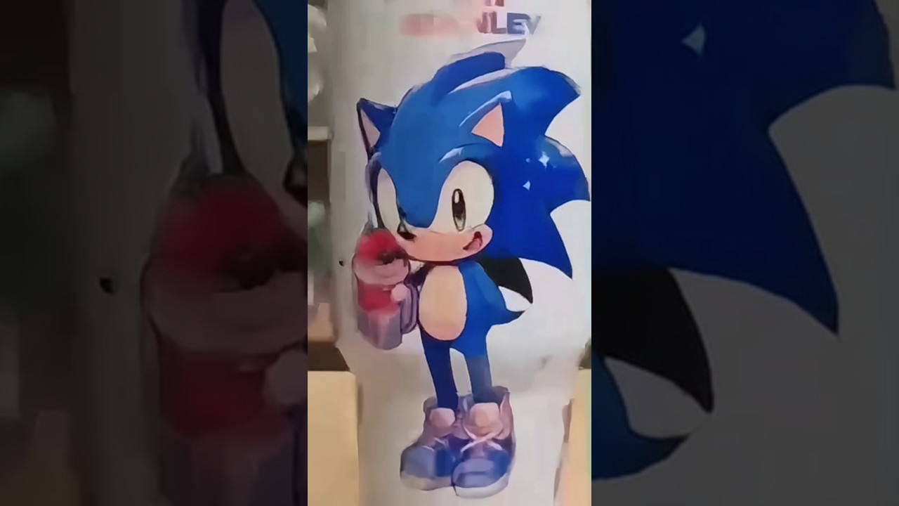 Sonic Stainless Steel Tumbler Premium Insulated Travel Mug Hot Cold Water Bottle