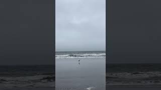 A morning in Marin County… My flight was at 2pm out of SFO the day after a work trip and you can