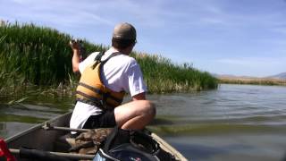 Mud Buddy on Canoe- Playing in the Shallows