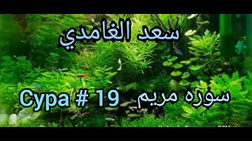 سعد الغامدي  سوره مريم   СУРА  # 19