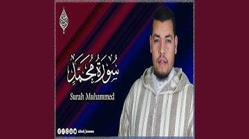 حسام الدين عبادي سورة محمد