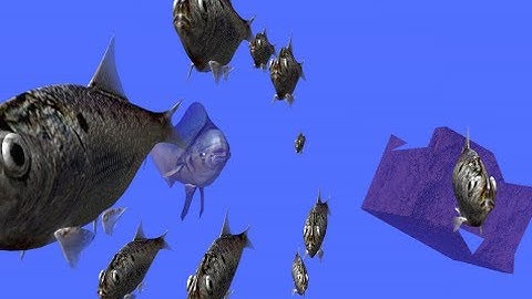 Dolphin 3D Animation circa 2001