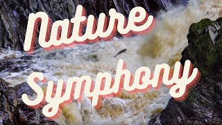 &quot;Nature&#39;s Symphony: Live Stream of Relaxing Waterfall Sounds&quot;