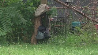 Columbus Humane responding to heat-related animal abandonment calls