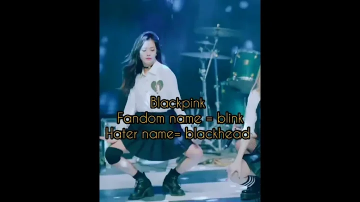 Fandom name VS haters name each kpop group pt1