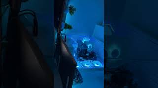 My Dream PC BUILD Setup Guys. #pcbuild #setup #setupwars #dreampc #pcbuild