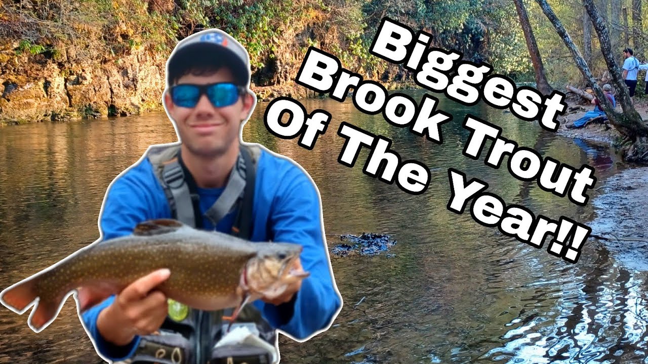 My Biggest Citation BROOK TROUT of the Year... Fishing With Subscribers ...