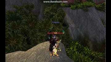 Ennarian Plays: Mists of Pandaria Beta! "Attack animations for a low level monk"