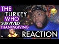 The Turkey Who Survived Thanksgiving | REACTION