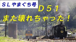 復活したばかりのがまた壊れちゃった　2024.05.18 #やまぐち号 #蒸気機関車 #train #鉄道 #d51 #sl #鉄道動画