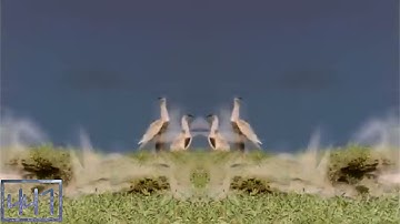 RQ: Preview 100 V2 Effects (Inspired by P2E)