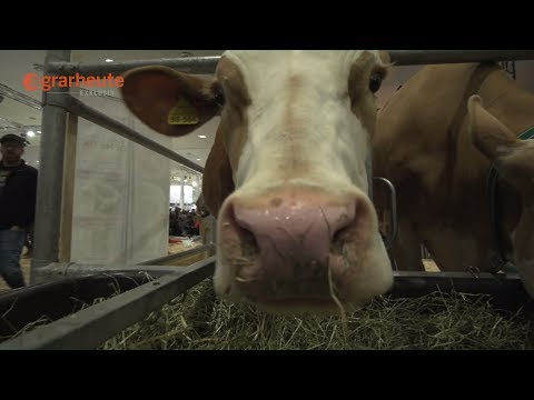 EuroTier - Denkanstoß Agrar am Stand von Josera