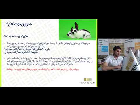 ბოცვრის გამოზრდა, მოვლა-შენახვის პირობები