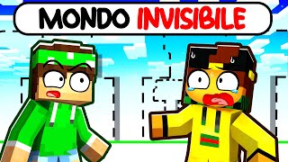 MINECRAFT MA IL MONDO È INVISIBILE!