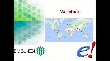 Virtual Workshop - The Ensembl Genome Browser - (2021): Webinar 3 - Variation data and the VEP