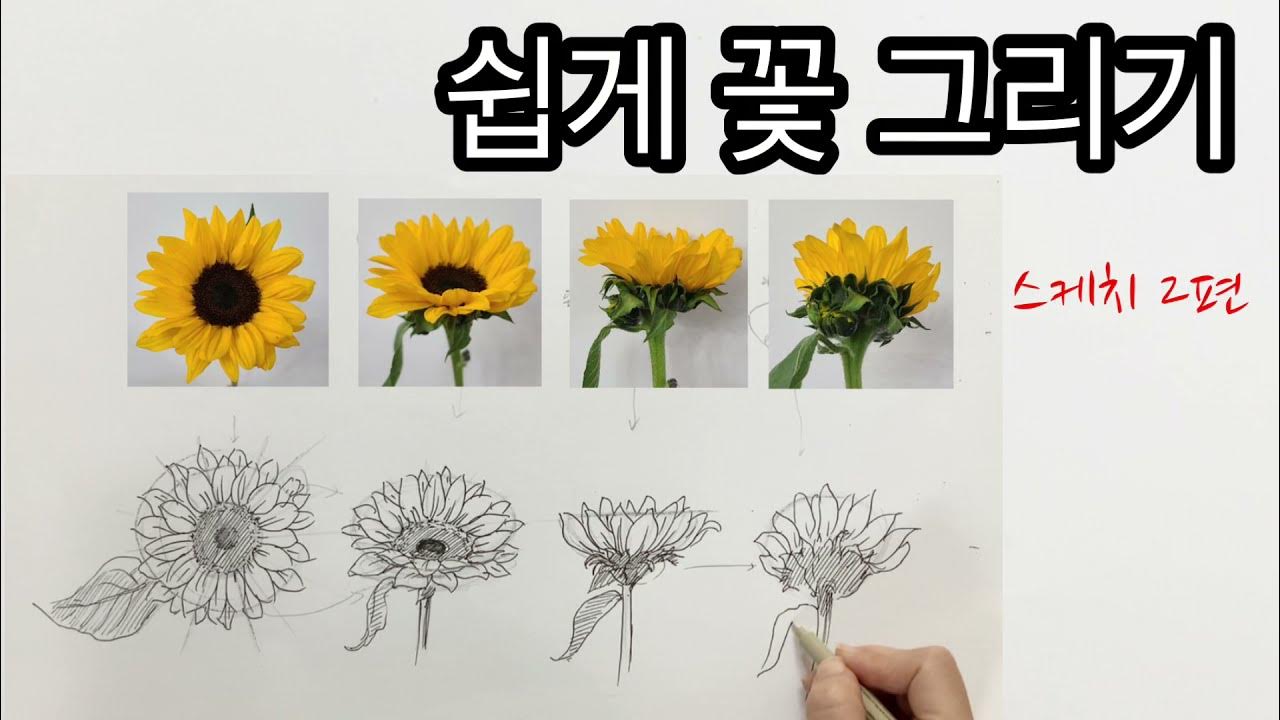 쉽게 꽃그리기 2 편 /꽃스케치2편 / 방향따라 변하는 꽃의 형태 그리기 / 초보자를 위한 쉽게 꽃 스케치하는 방법 / 꽃 잘 그리기  / How To Draw Flowers - Youtube