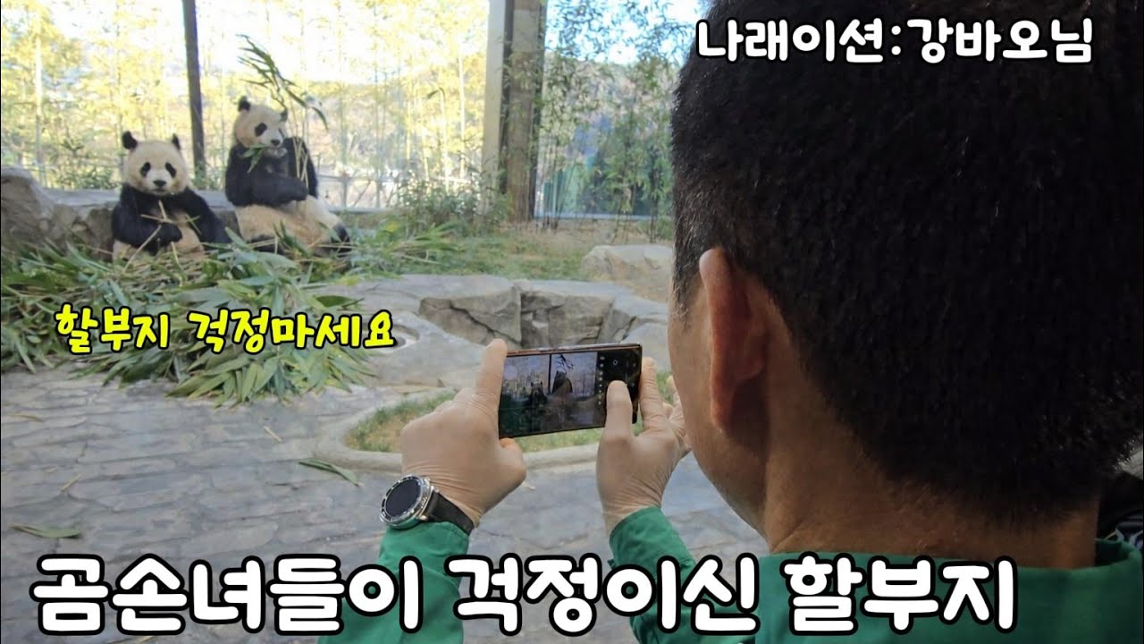 [ep.790]둥이들이 혹 싸울까봐 걱정되신 할부지♡할부지 걱정마세요 26.02.25