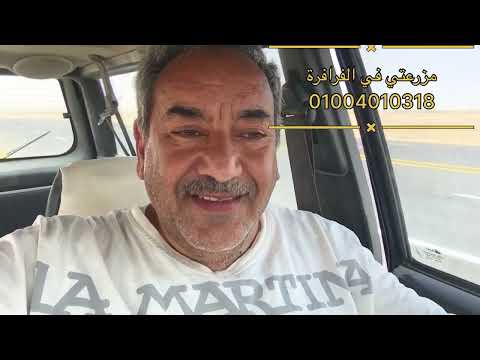 الفرق بين الدراسة والكومبين وايهما افضل وهبوط اسعار الشعير الغير مبرر وكيف تم تسعير رغيف الخبز