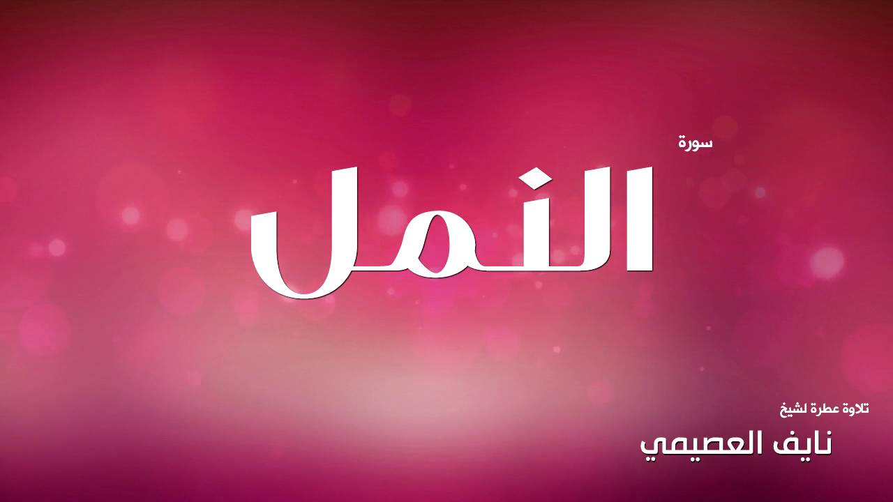 سورة النمل للشيخ نايف العصيمي