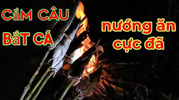 Cắm câu bắt cá lóc và thác lác/ grilled snakehead fish