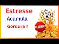 Estresse Crônico vs Queima de Gordura Qual é o Maior Obstáculo?